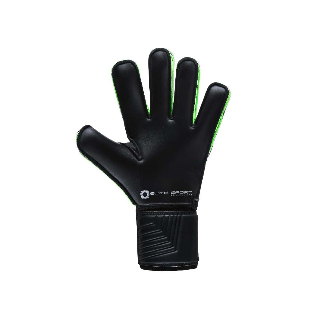 Elite-BG-02