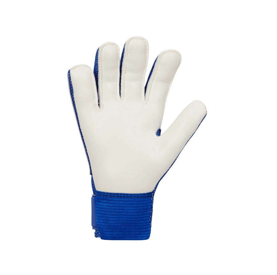 Nike Goalkeeper Match CQ7799-445-2