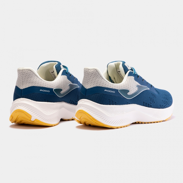 RRODIS.2317_3