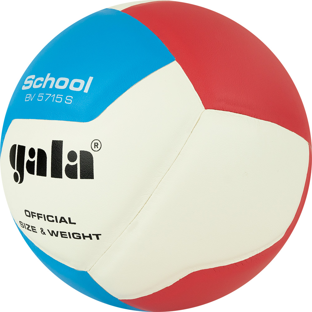 GALA School 12_3