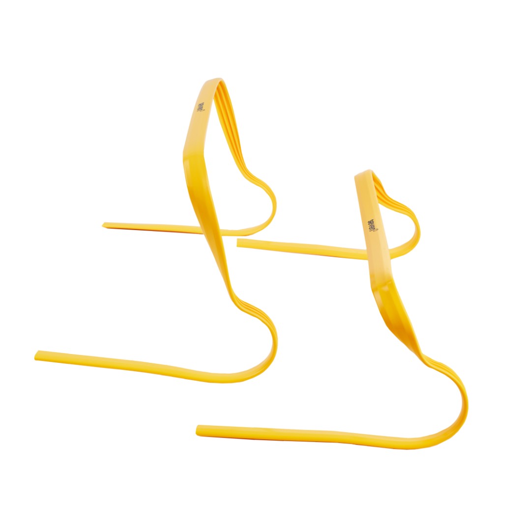 SVN_flexible_S1131302