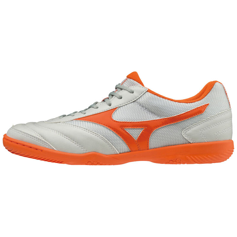 Футзалки Mizuno sala Club 2 in